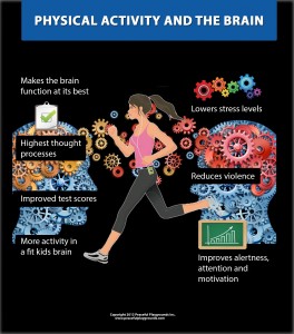 exercise and the brain